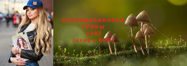 apvp Алексин