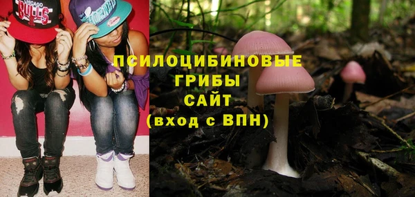 кристаллы Алзамай