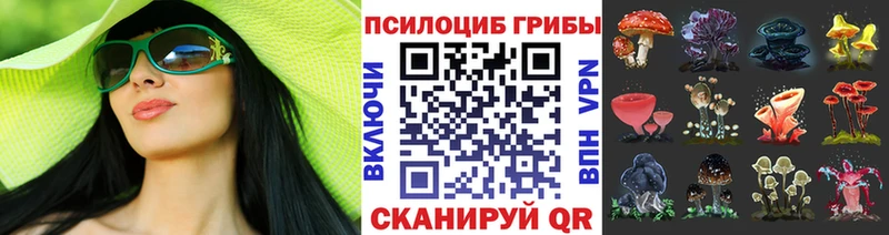 Галлюциногенные грибы мицелий  наркотики  OMG сайт  Усолье-Сибирское 